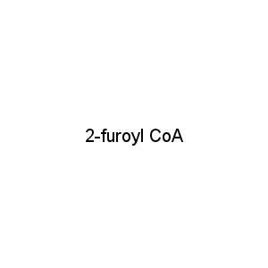 2-furoyl CoA